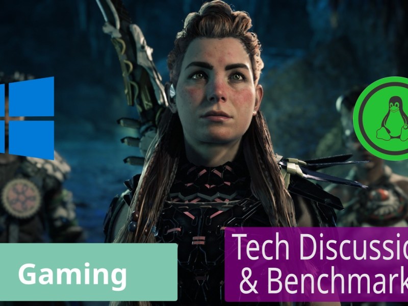 Horizon Forbidden West PC Technology Discussion (Linux + Windows&nbsp;Benchmarks)